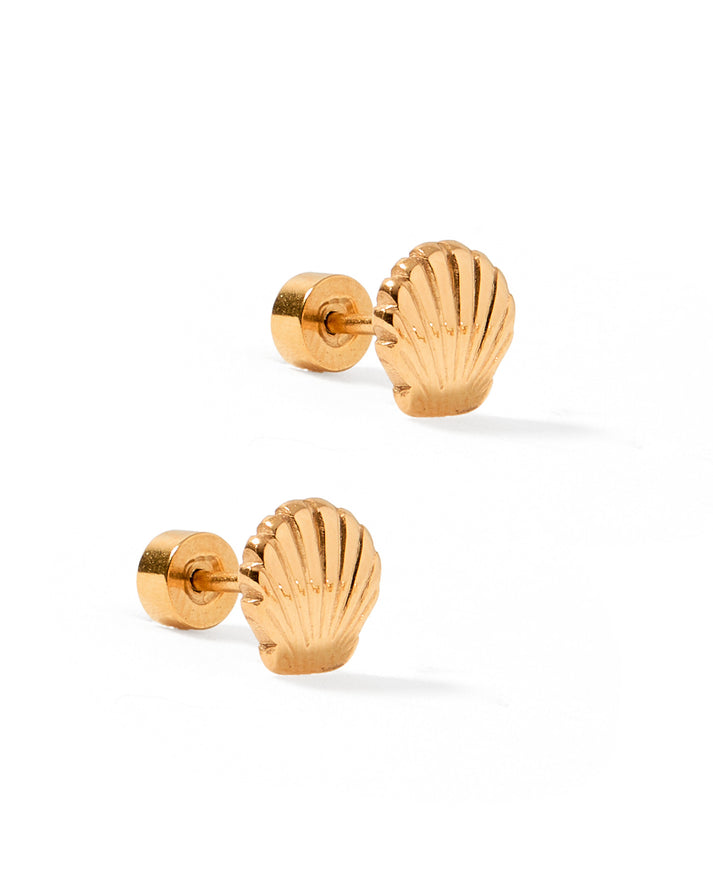 Screwback Stud Earrings Marina Shell