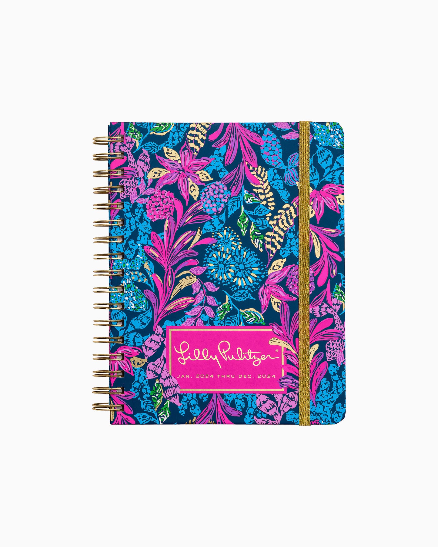 Large 12 Month Agenda