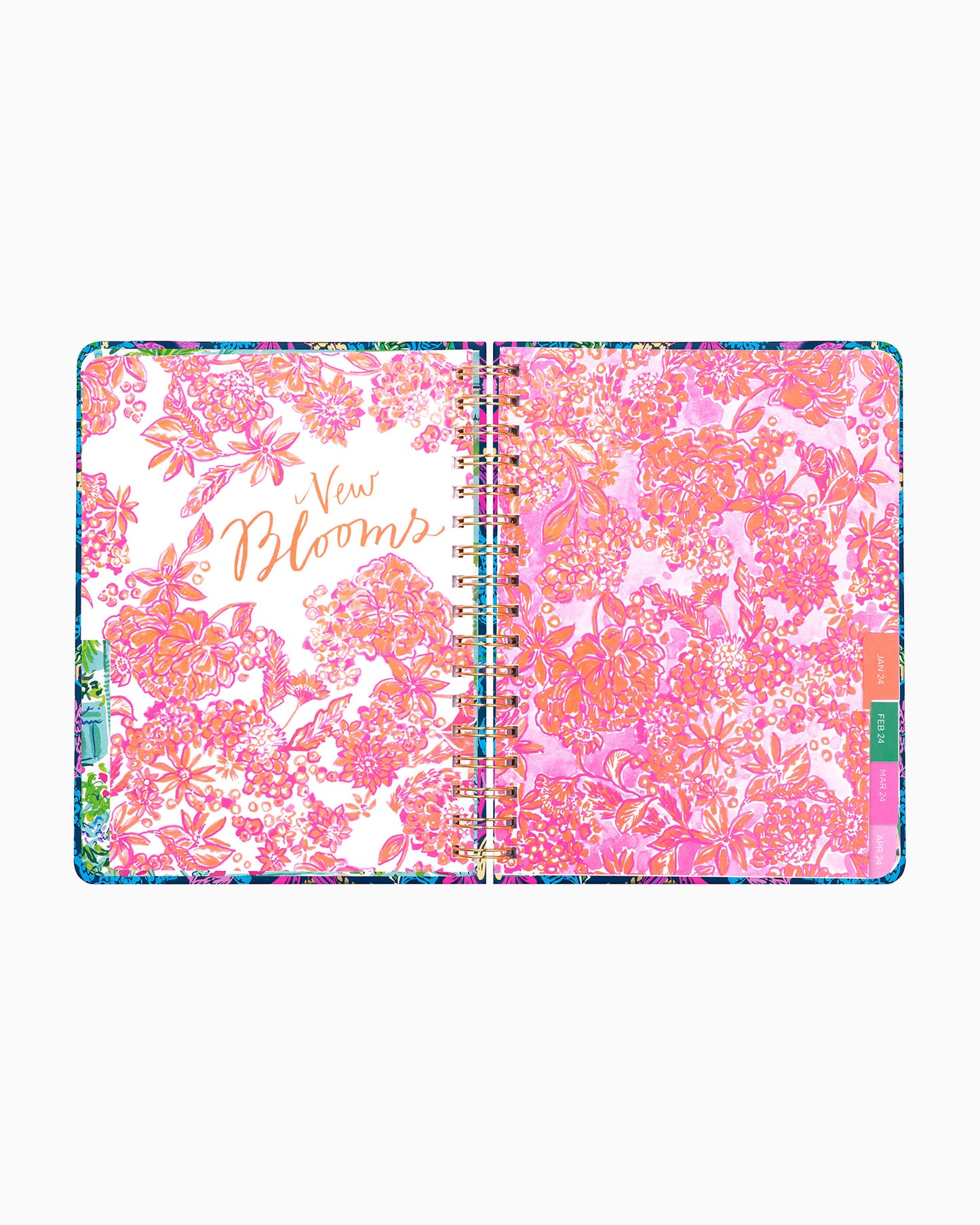 Large 12 Month Agenda