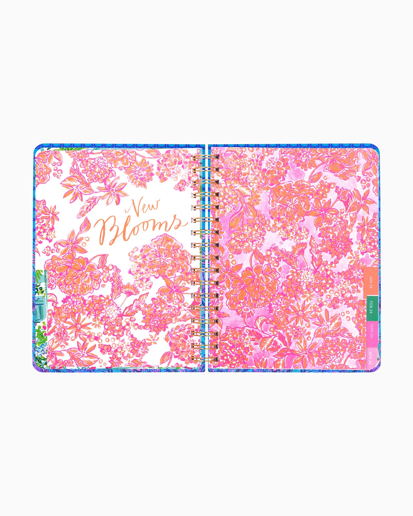 Large 12 Month Agenda