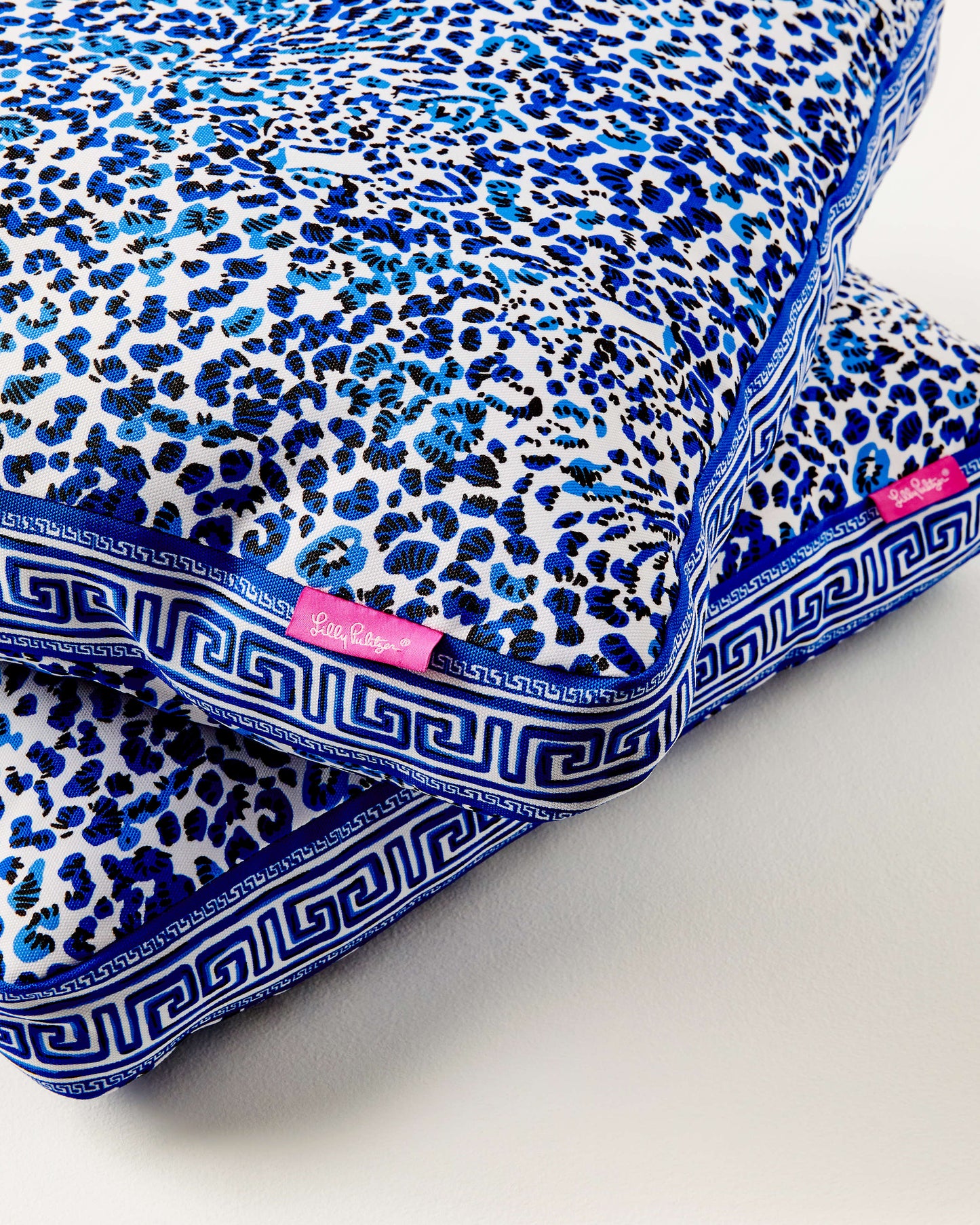 22" Indoor/Outdoor Pillow