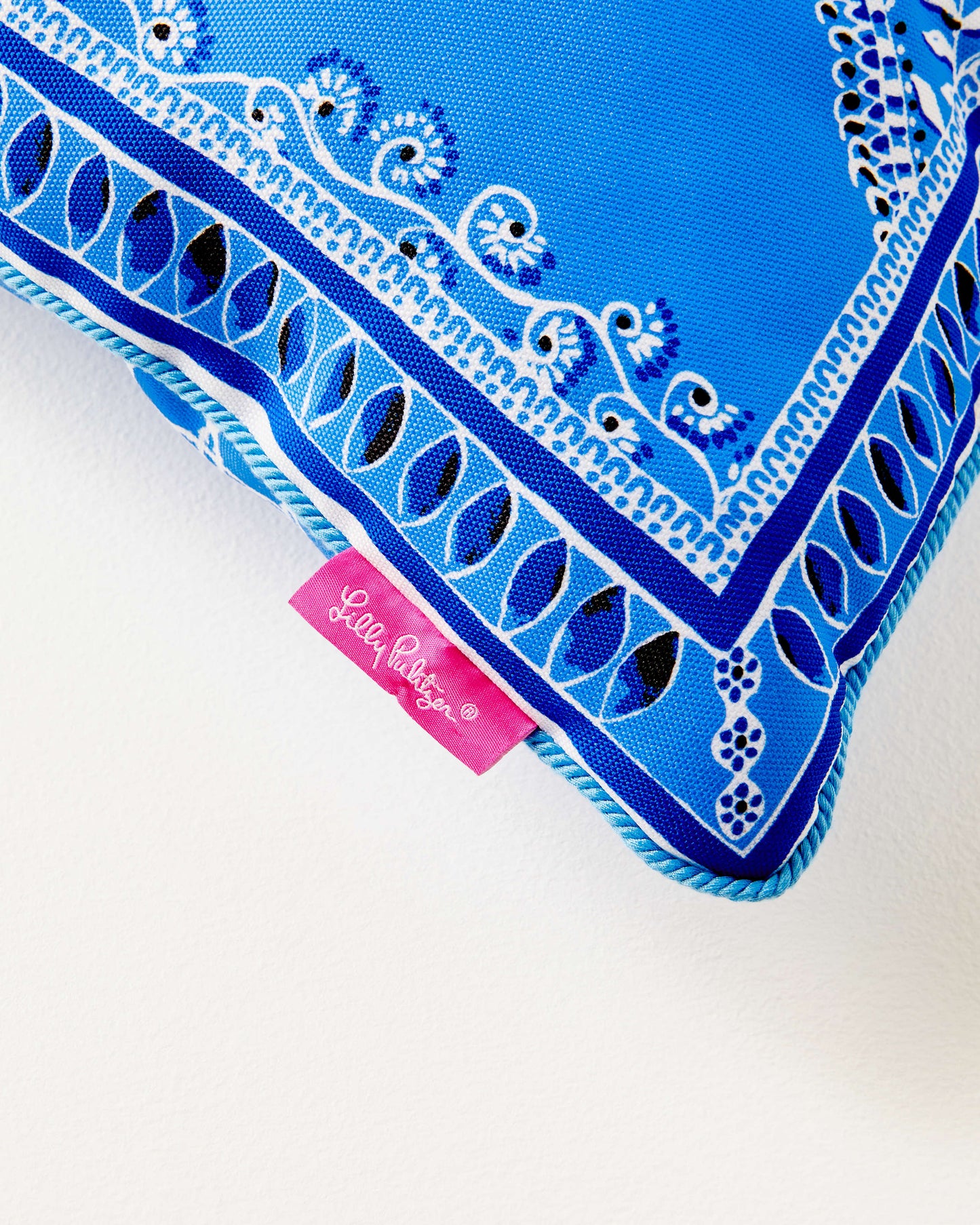18" Indoor/Outdoor Pillow