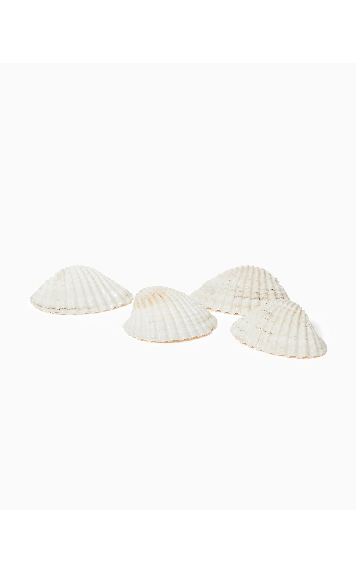 GWP PLACE CARD HOLDERS