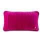Come Sit By Me Needlepoint Pillow