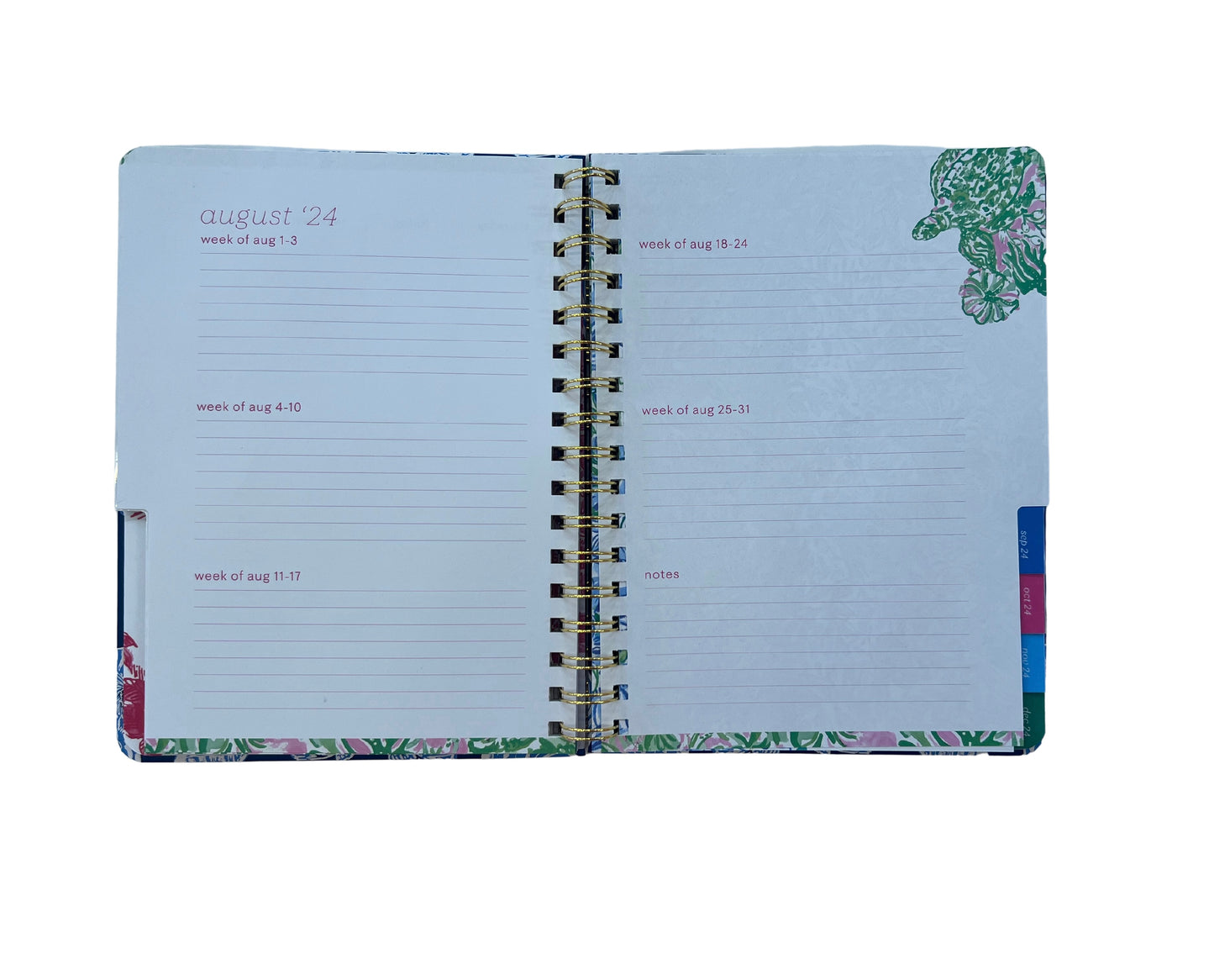 2024-2025 17 Month Monthly Planner Shell of A Good Time