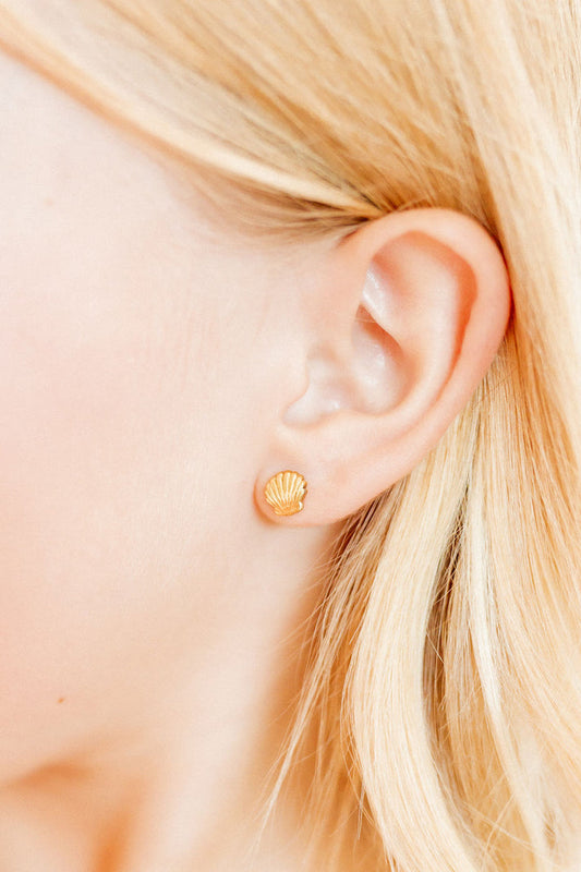 Screwback Stud Earrings Marina Shell